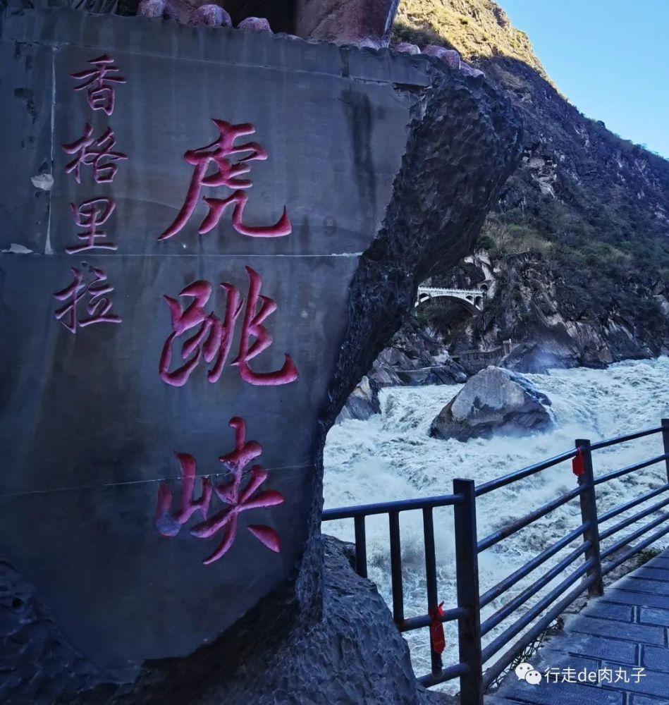 使命召唤15